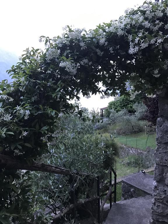 B&B Bellavista Castro  Buitenkant foto